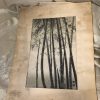 "Bamboo" Vintage Eiichi Kotozuka Woodcut - Image 2