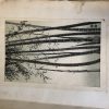 "Bamboo" Vintage Eiichi Kotozuka Woodcut - Image 12