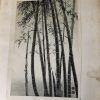 "Bamboo" Vintage Eiichi Kotozuka Woodcut - Image 4