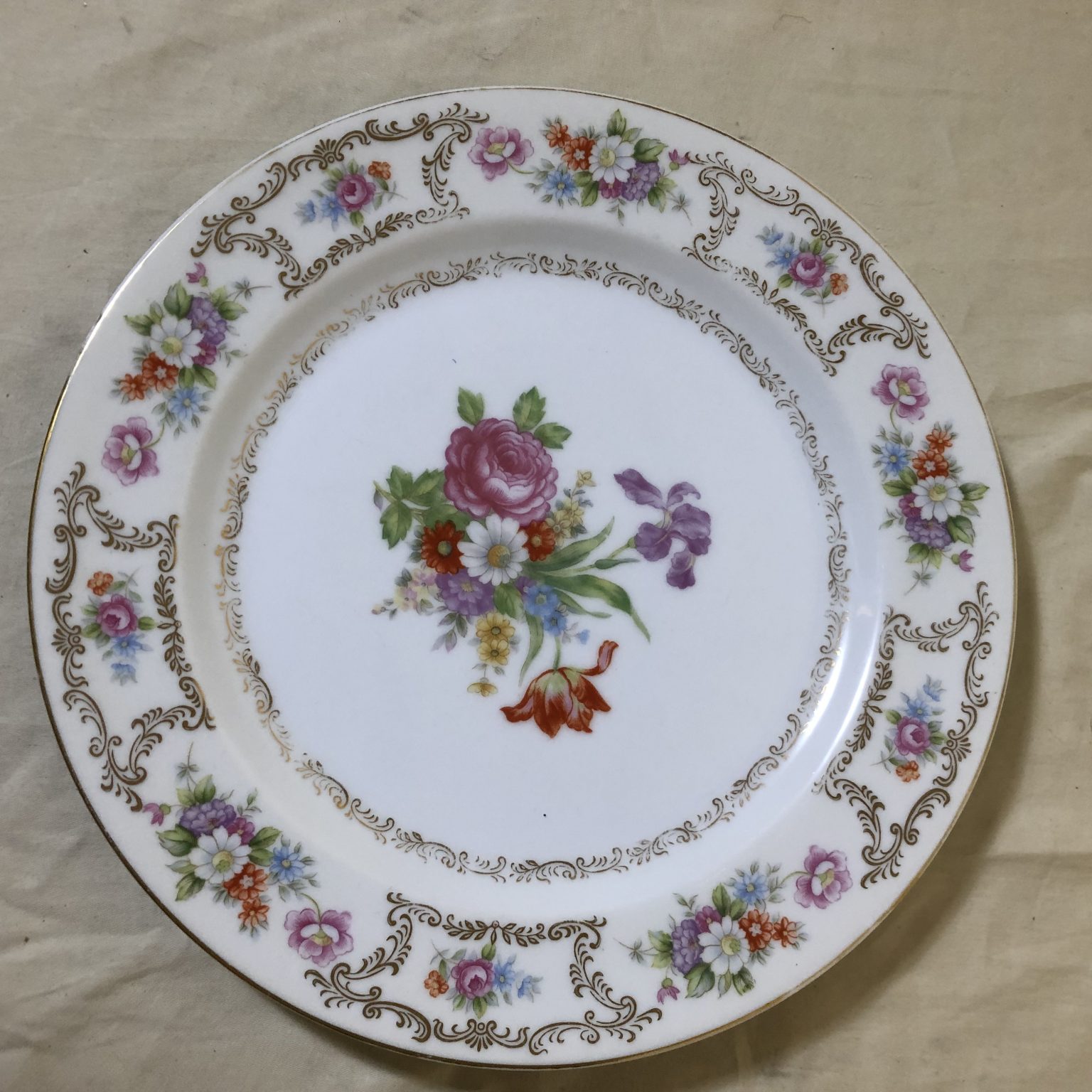 Set of 10 Vintage Wentworth Dresrosa Fine China Dinner Plates – Society ...