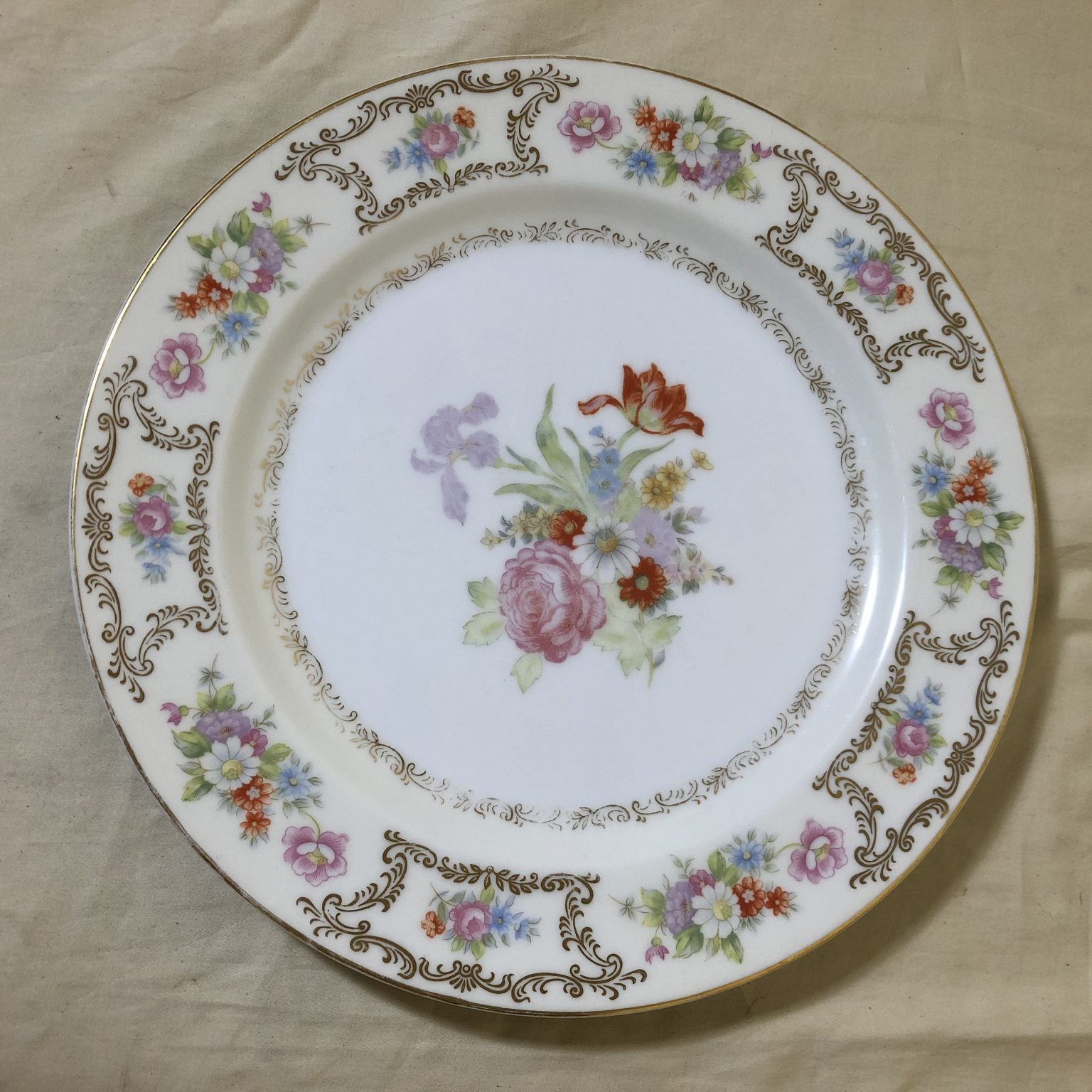 Set of 10 Vintage Wentworth Dresrosa Fine China Dinner Plates – Society ...