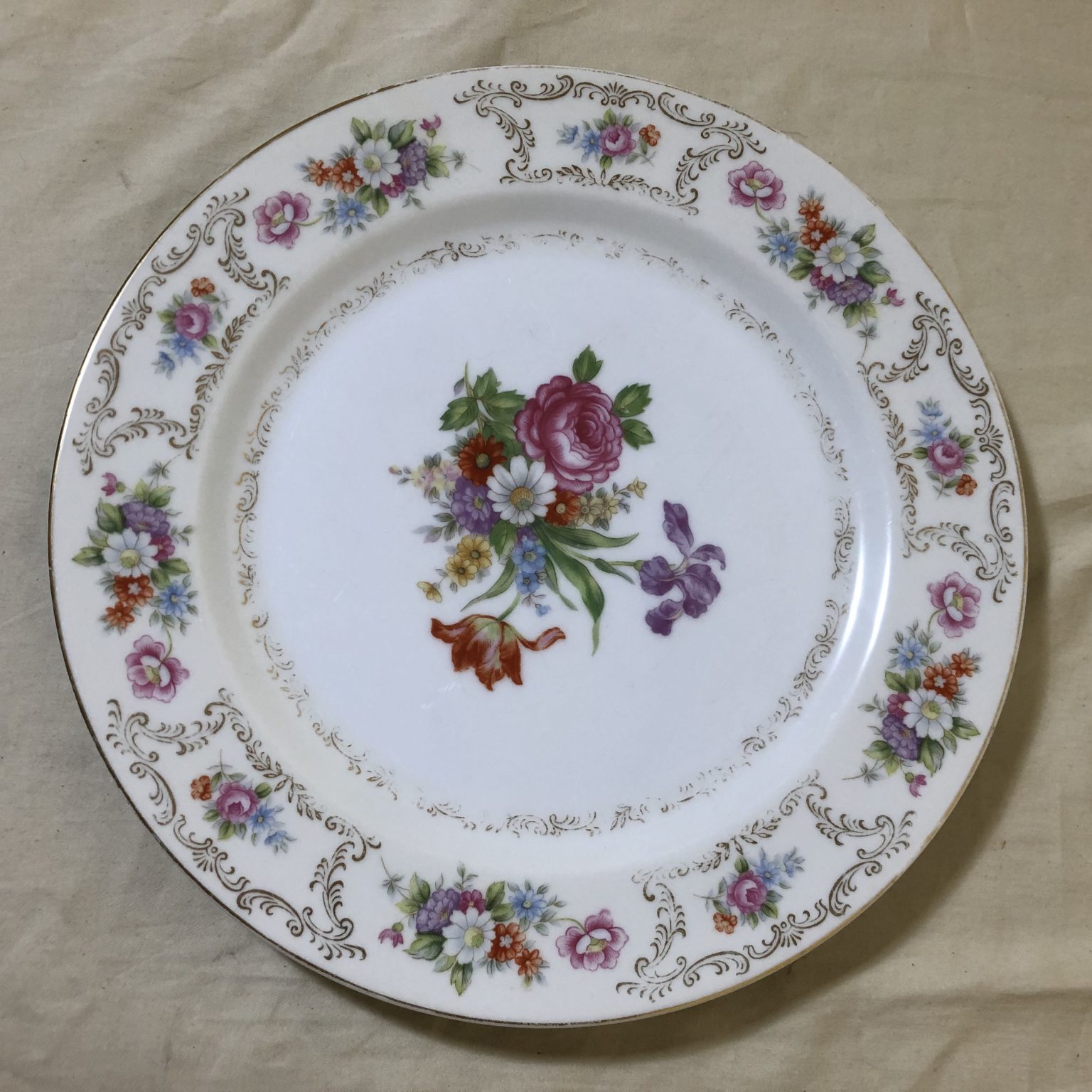 Set of 10 Vintage Wentworth Dresrosa Fine China Dinner Plates – Society ...